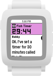 A widget labelled "Fish Timer" says "29:44". Below, it reads: OK, I've set a timer for 30 minutes called…